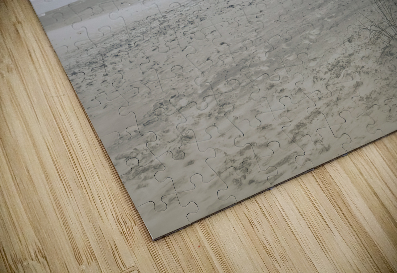 Pawleys Island Beach Pier and Fence Norma Brandsberg Photography Puzzle