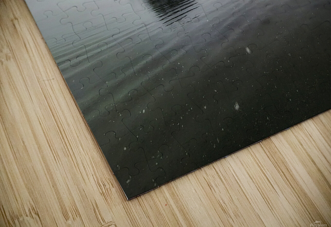 Winter Island Sproat Lake Vancouver Island Adam Copp Puzzle