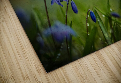 After the spring rain 1x puzzle