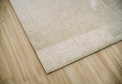 Miss Daisy 1x puzzle