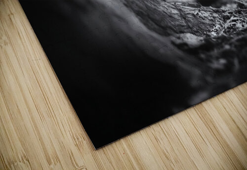 In the woods 1x puzzle