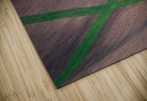 Painting the fields 1x puzzle