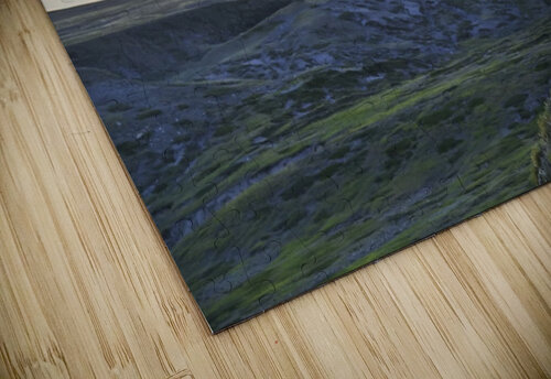 A lone bison (bison bison) grazes on the buttes of Grasslands National Park; Saskatchewan, Canada PacificStock puzzle