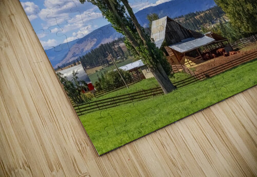 Beef cows rest in the shade of the barn roof under a blue sky with fluffy white clouds in the summer in the North Okanogan; British Columbia, Canada PacificStock puzzle
