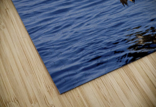 A Bald Eagle Swoops In With Talons Extended Just Before Catching A Fish From The Ocean In Southeast, Alaska. PacificStock puzzle