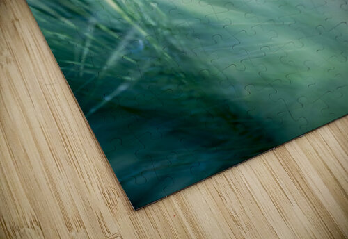 Lost in Paradise ... Mélodie Schaeffer puzzle