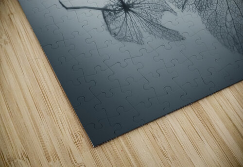 Ephemeral Beauty 1x puzzle