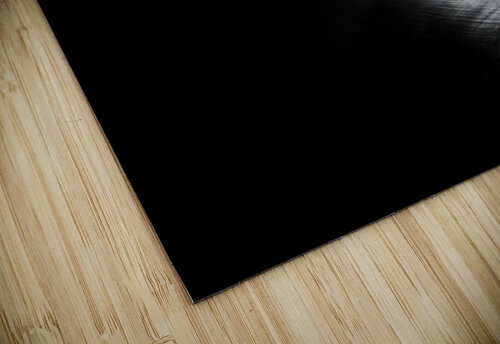 Untitled 1x puzzle