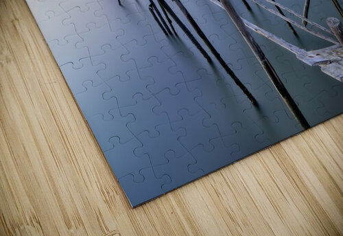 The Old Pier 1x puzzle