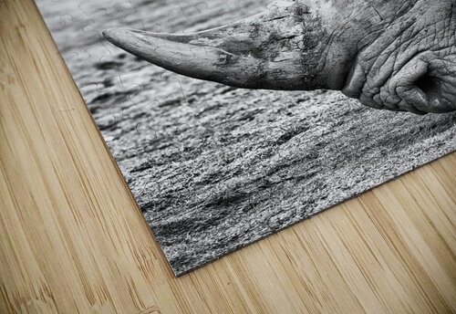 Face to face 1x puzzle