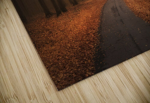 Path to unknown 1x puzzle