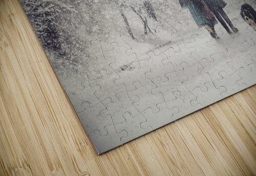 Snow storm charm 1x puzzle