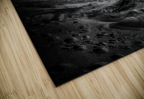 marram grass 1x puzzle