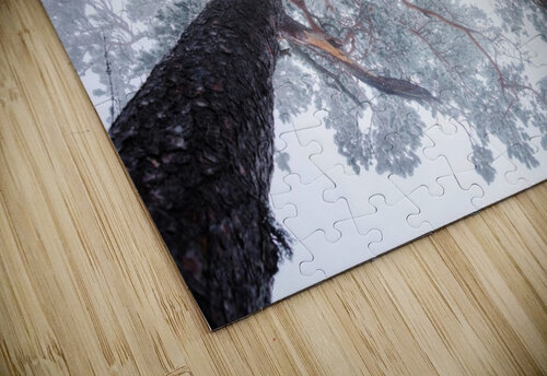 Winter tree lines 1x puzzle