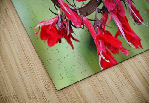 Lobelia Perch Deb Oppermann puzzle