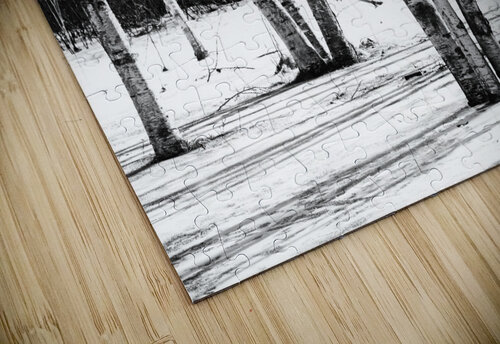 Birches And Dogwood Black And White Deb Oppermann puzzle
