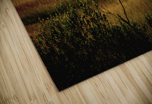 Savannah Shipyard Marsh Silhouette Norma Brandsberg Photography puzzle