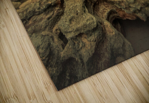 Florida Seaside Coquina Textures Norma Brandsberg Photography puzzle