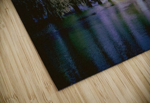Louisiana Line of Trees Winter Wanderings Norma Brandsberg Photography puzzle