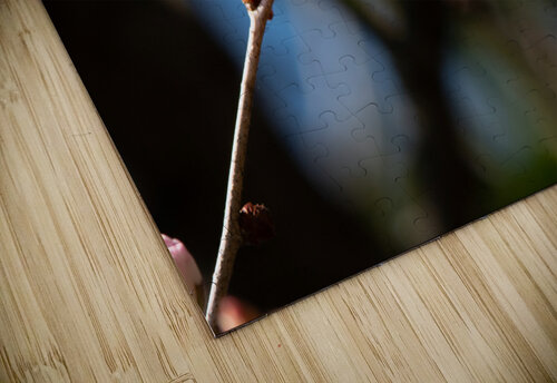 Spring Shogetsu 4 Marya S puzzle