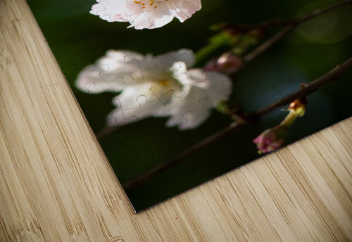 Spring - Shogetsu 2 Marya S puzzle