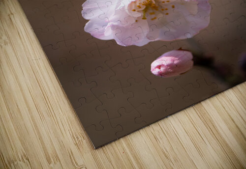 Spring Shogetsu Marya S puzzle