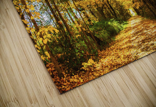 Fall Drive Near Guelph Thea Menagh puzzle