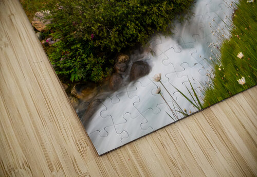 Moraine Stream Wildflower Display Norma Brandsberg Photography puzzle