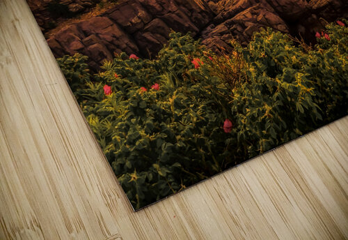 Sunset Fort Williams Park Cliffs Norma Brandsberg Photography puzzle