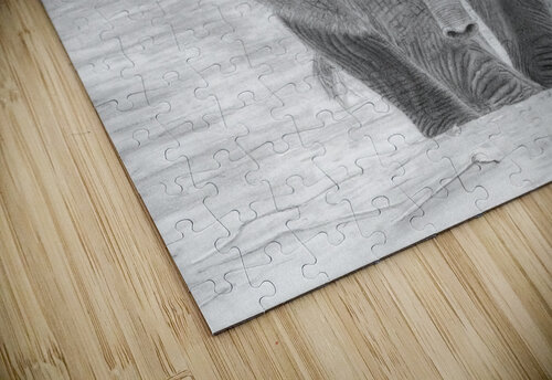 Young Elephant Lindsay Mawson puzzle