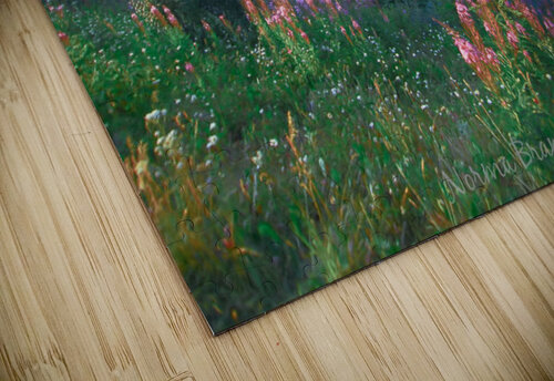 Banff Alberta Canada Bow River Overlook Norma Brandsberg Photography puzzle