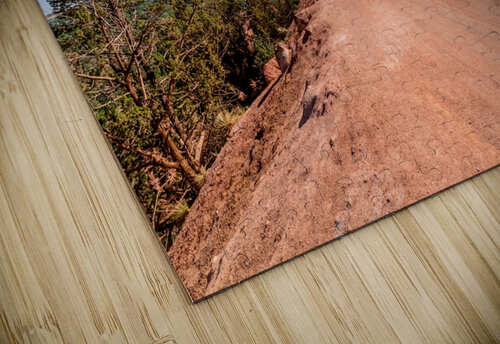 Colorado Rampart Dirt Road Mountain View Jennifer White puzzle