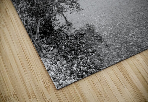 Early Morning Fishing Table Rock Lake Grayscale Jennifer White puzzle