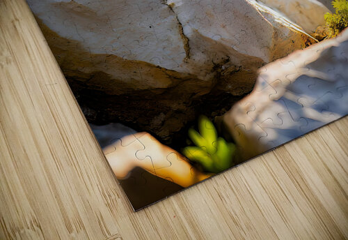 Natural Resilience - GIA2401-0222-REA JordiCarrio puzzle