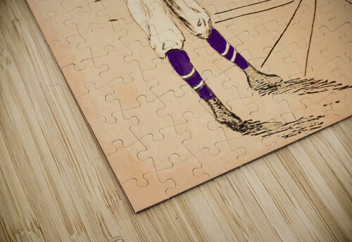 early 1900s clemson tigers baseball art  Row One Brand puzzle