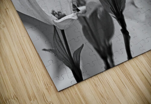 White Dogwood Black And White Deb Oppermann puzzle