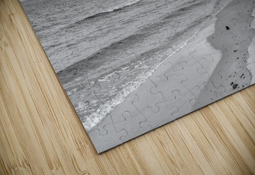 Florida Gulf Coast Peacefulness Grayscale Jennifer White puzzle