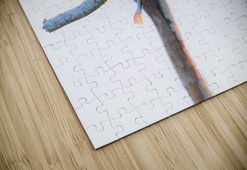 BZ9 4522 Enhanced NR Susan Lynn Cooke puzzle