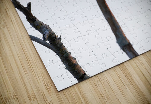 BZ9 4520 Enhanced NR Susan Lynn Cooke puzzle