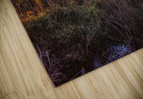 Woodland Marsh Sunset Winter Glow Norma Brandsberg Photography puzzle