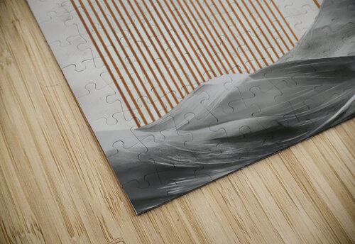 Zen Alignment Roderick Sebastiaan puzzle
