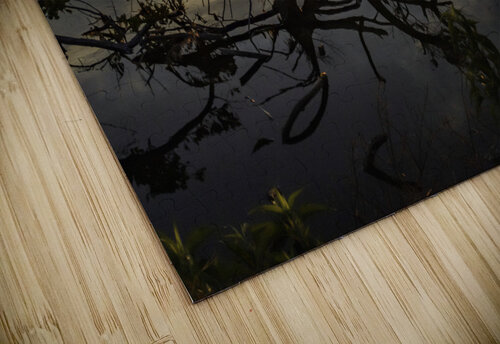 Into the sun Kai Hoskins puzzle