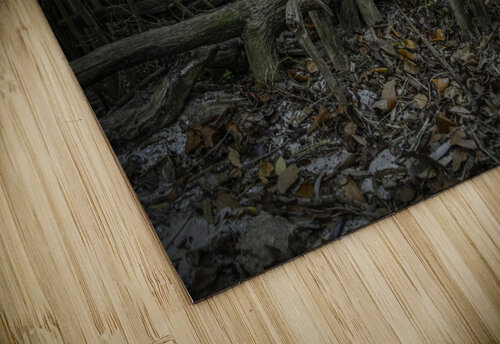 Tim Kai Hoskins puzzle