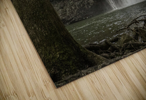 Fall between the trees Kai Hoskins puzzle