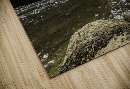 Log Kai Hoskins puzzle