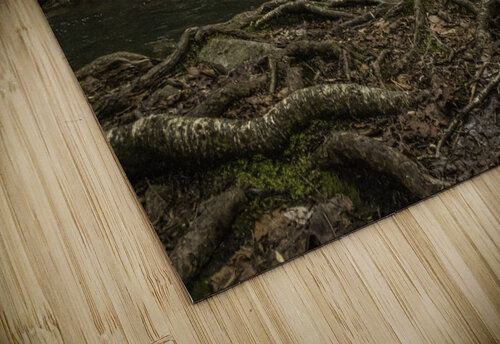 Rooted Kai Hoskins puzzle