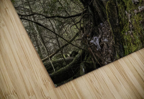 climb Kai Hoskins puzzle