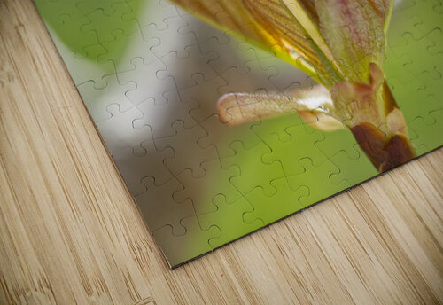 Crape Myrtle Leaves Macro Iris H Richardson puzzle