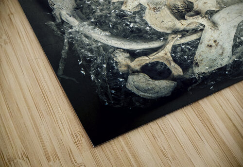 human bone vertebrae in a cardboard box  Gualtiero Boffi puzzle