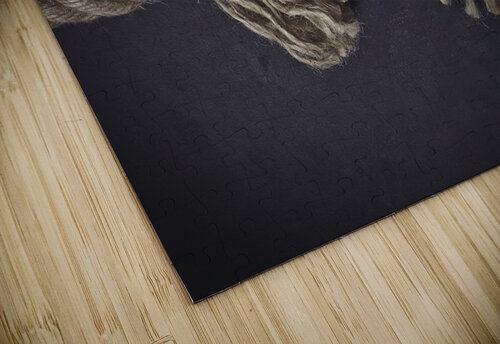hemp rope about to break Gualtiero Boffi puzzle